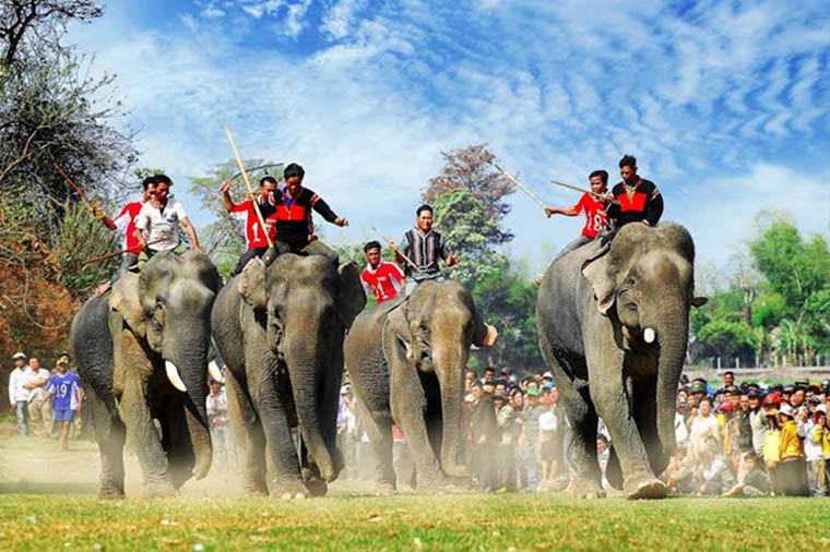 festivals in Vietnam elephant race